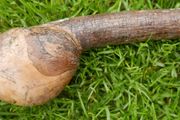 Traditional wooden shillelagh - rustic walking stick
