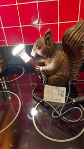 Squirrel Lamp