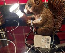 Squirrel Lamp
