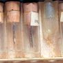 Box of winding stems in vials Image 5