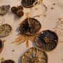 Dry Orange slices, christmas decoration, wreath making Image 2