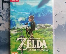 The Legend of Zelda Breath of the Wild