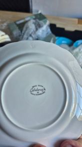 Bone China 10 e per piece