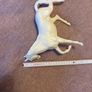 Royal Doulton white Horse Image 6