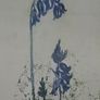 Framed Floral Watercolour Image 5