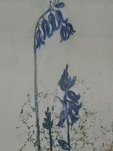 Framed Floral Watercolour