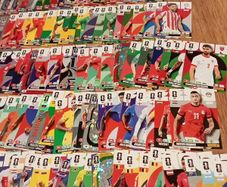 FIFA World Cup Panini football cards