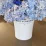 MOET champagne cooler Image 2