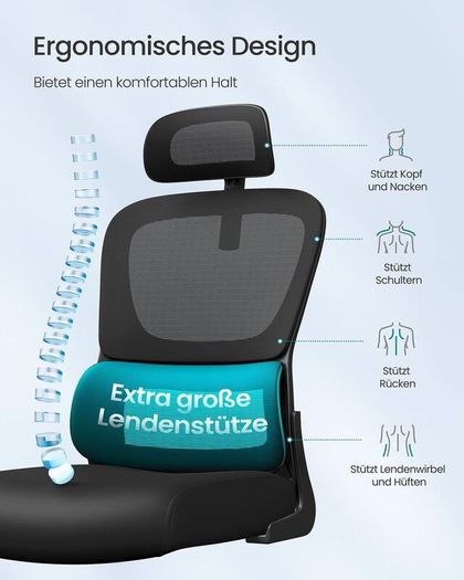 Ergonomic Mesh Office Chair with Adjustable Headrest & Flip-Up Armrests Black