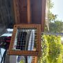 egg stand Image 2