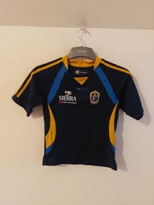 roscommon gaa jersey