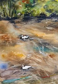 ducks watercolour