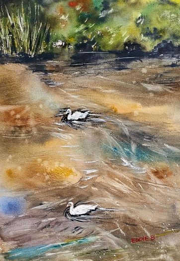 ducks watercolour