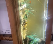 jewel 200 litre