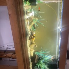jewel 200 litre