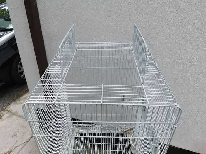 bird cage