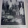 East West An Irish doctor's memories Image 6