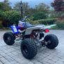 Yamaha Banshee Image 6
