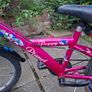 Free girl's bike Image 2