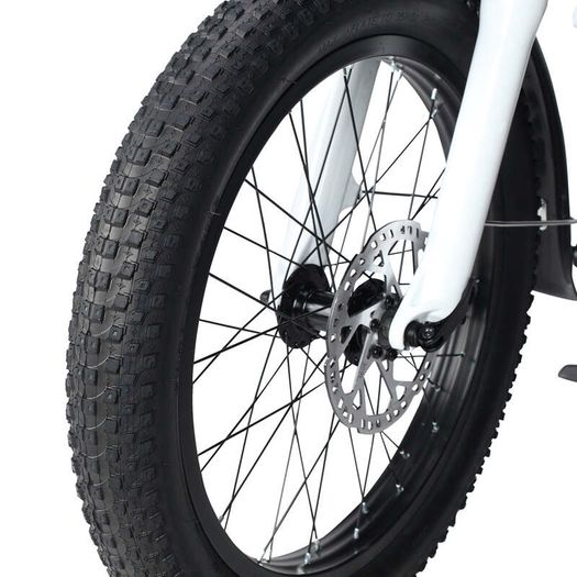 PHILODO TRAVELLER Family & Cargo Electric Bike