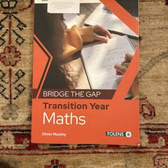 Bridge the Gap Transition Year Maths