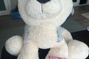 Harley the Husky