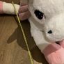 Pearl The Pegasus Giant Soft Toy Image 4
