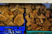Maple Leaf Rock