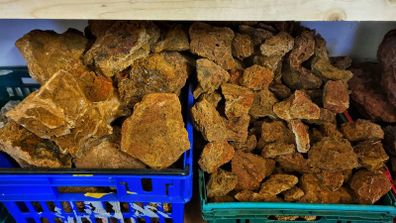 Maple Leaf Rock