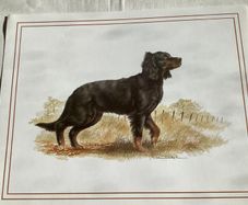 Dog Lovers/ Retailers