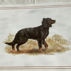 Dog Lovers/ Retailers
