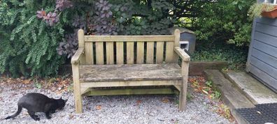 bench