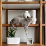 Bloomingville Terrazzo Planter Image 2