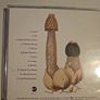 Tori Amos. 2 Albums Collection - Little Earthquakes / Under The Pink. Image 3