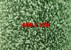 carpet 6ft8 x 13ft