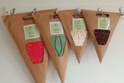 Carolyn Donnelly Christmas Stars and LIVARNO LED Star Lantern Lot