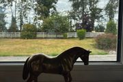 Vintage Solid Brass Horse Sculpture
