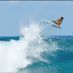 SurferAndy