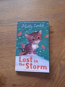 Lost In the Storm