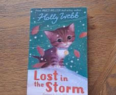 Lost In the Storm