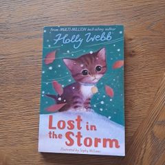 Lost In the Storm