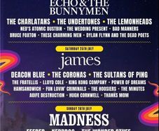 Forest fest weekend upgrade , 1 VIP ticket ticket for VIP entry