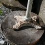 Antique Cast Iron Garden Decoration Image 9
