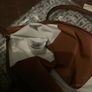 Longchamp le Pliage / large / brown Image 6