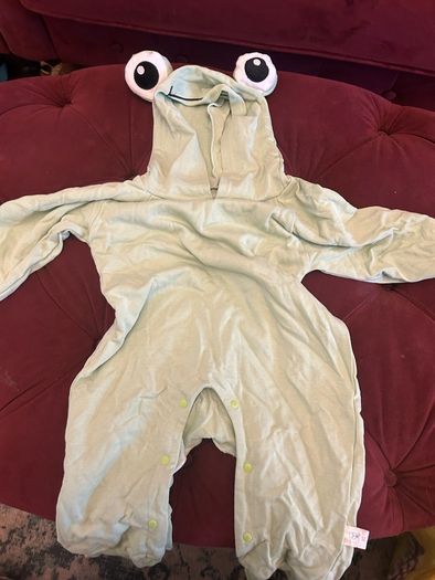 Halloween Costume Frog