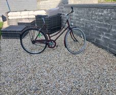 Adults Bike