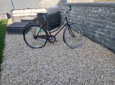 Adults Bike