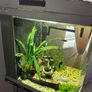80L fish tank and stand Image 2