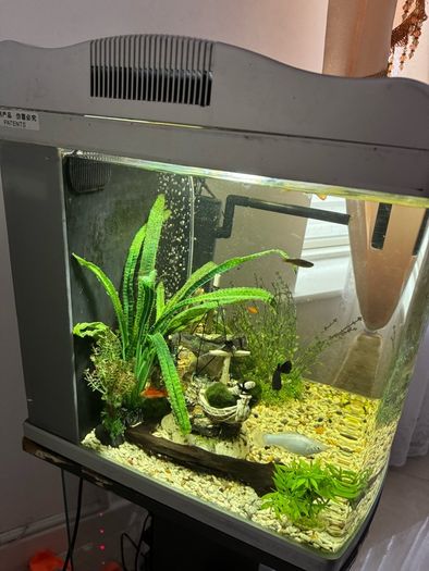 80L fish tank and stand