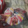 Lol hair scrunchies Image 2